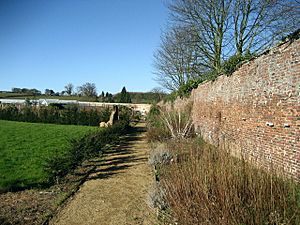 Inside the Walled Garden, Helmsley - geograph.org.uk - 331851