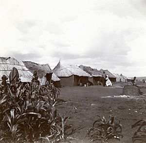 Klerksdorp Campc.1901 (22701922869)