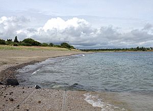 Kvichak River.jpg