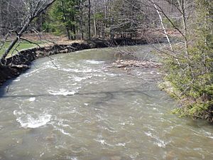 Little Nescopeck Creek looking downstream