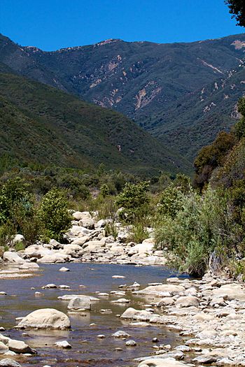 Matilija Creek.jpg