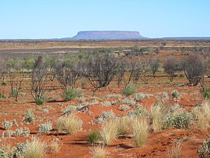 Mount Conner, August 2003