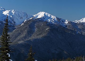 Mt. Fitzhenry.jpg