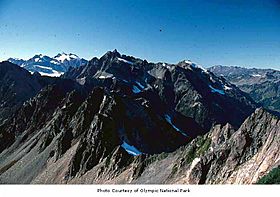 Olympic Mountains seen from Mount Seattle, Olympic National Park, date unknown