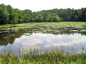 Patuxent preserve outside