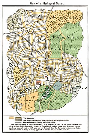 Plan mediaeval manor