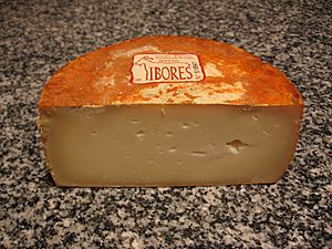 Queso ibores