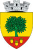 Coat of arms of Cajvana