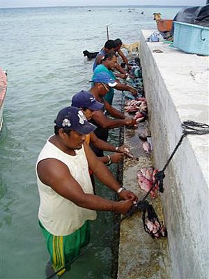 Raroia fishermen