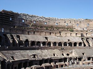 Rome (29096723)