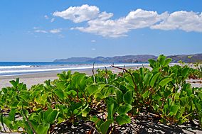 Santa Rosa National Park.jpg