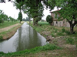 Sesso canale reggio emilia