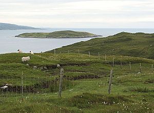 Sheep grazing near Cliasmaol