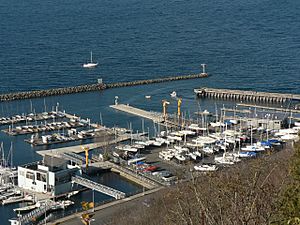 Shilshole Bay Marina 29005