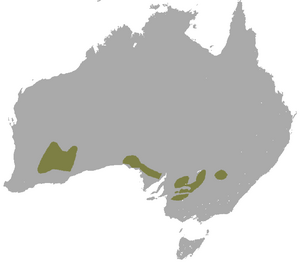 Southern Ningaui area.png