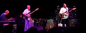 The Robert Cray band