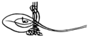 Osman II's signature