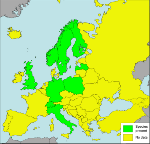Vertigo-genesii Presence in European countries