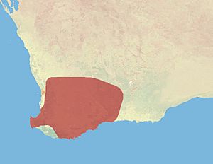 Western Quoll Range.JPG