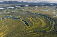 Wetlands along the Kobuk River (8029770162).jpg