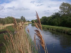 Wicken Lode1