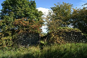 Arniebog Farmhouse (ruin) (geograph 2081939)