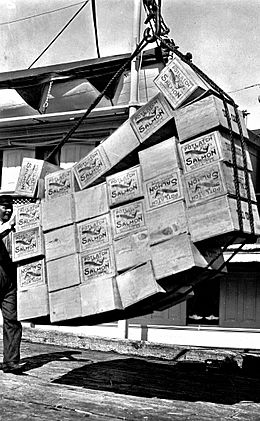 Boxes of salmon Petersburg, Alaska