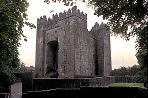 BunrattyCastle01(js)