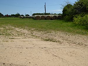 Crag Farm Pit, Sudbourne 4.jpg