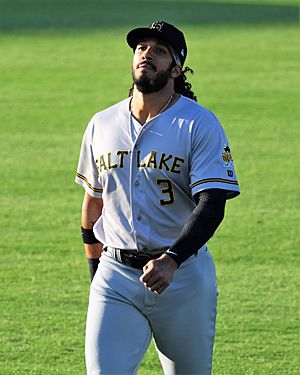 Dillon Thomas (Bees).jpg