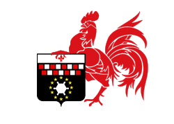 Drapeau ville be Charleroi.svg