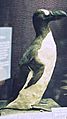 Greatauk-tring