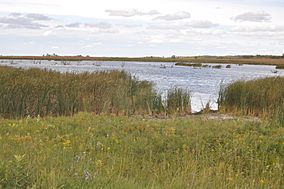 Hamden Slough National Wildlife Refuge.jpg