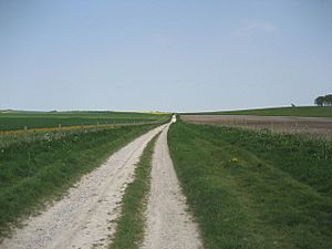 Herepath Avebury England