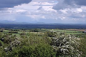 Ireland - Plains of South Kildare