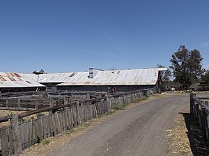 Jondaryn Woolshed.jpg