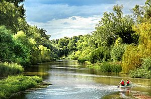 Lachlan River.jpg