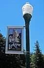 Larkspur 100 years banner