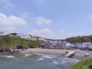 Little Haven, Pembrokeshire, May 2024.jpg