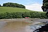 Looe train at Terras bridge - geograph.org.uk - 737616.jpg