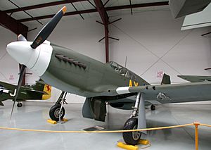 North American P-51A Mustang, Yanks Air Museum, Chino, California.jpg