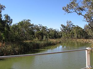 OxleyLachlanRiver