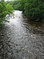 River Wear Weardale 20070617