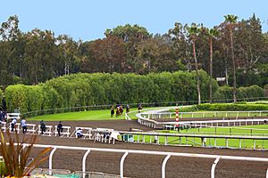 Santa Anita Track (3446121612)