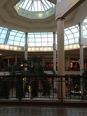 Savannah Mall (7965855012)