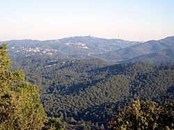 Serra de Collserola