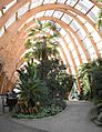 Sheffield Winter Garden