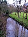 Smestow Brook 11 Trysull