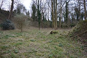 South Lodge Pit 7.JPG