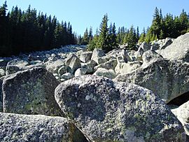 Stone-River-Autumn